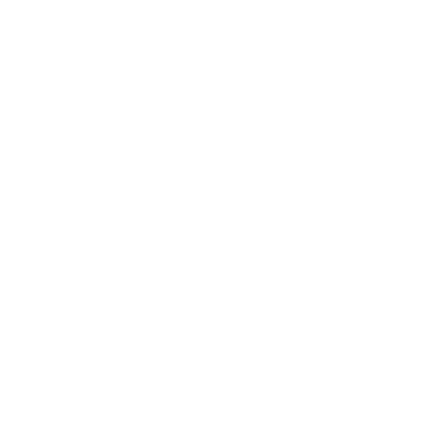Constructed Outcome® insurance.net.za mark