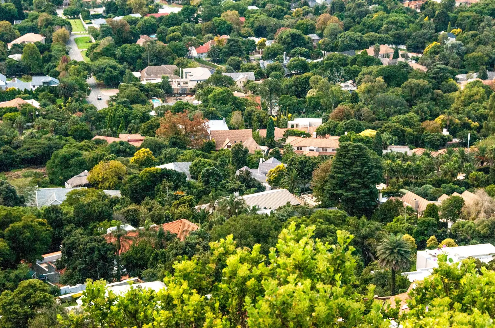 Homeowners' Association Insurance in South Africa: The Definitive Guide for Estate Boards